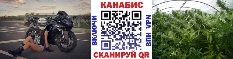 Купить где  Буй  МАРИХУАНА семена 